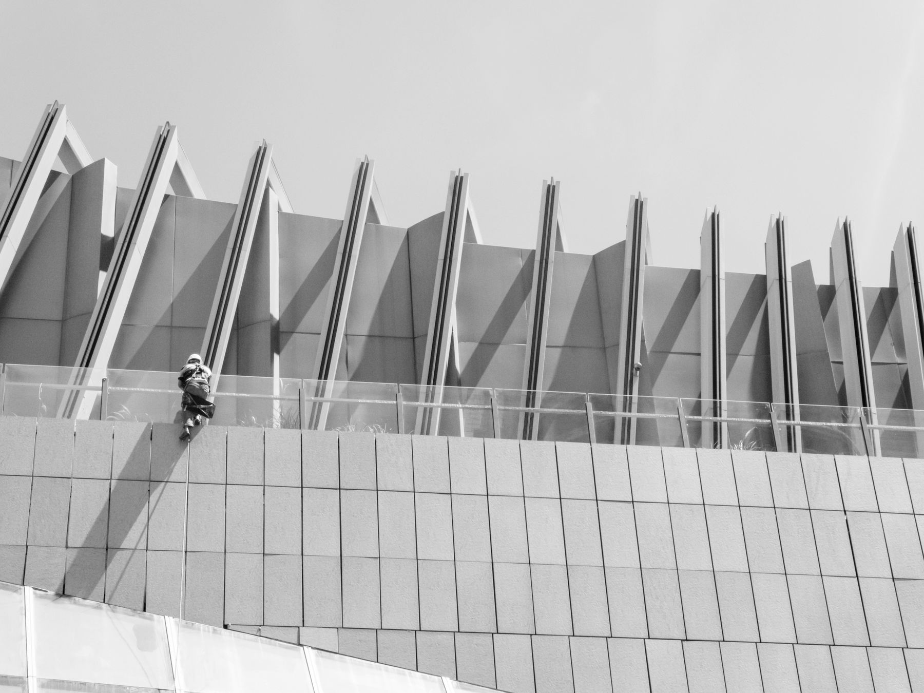 Proveedores y contratos